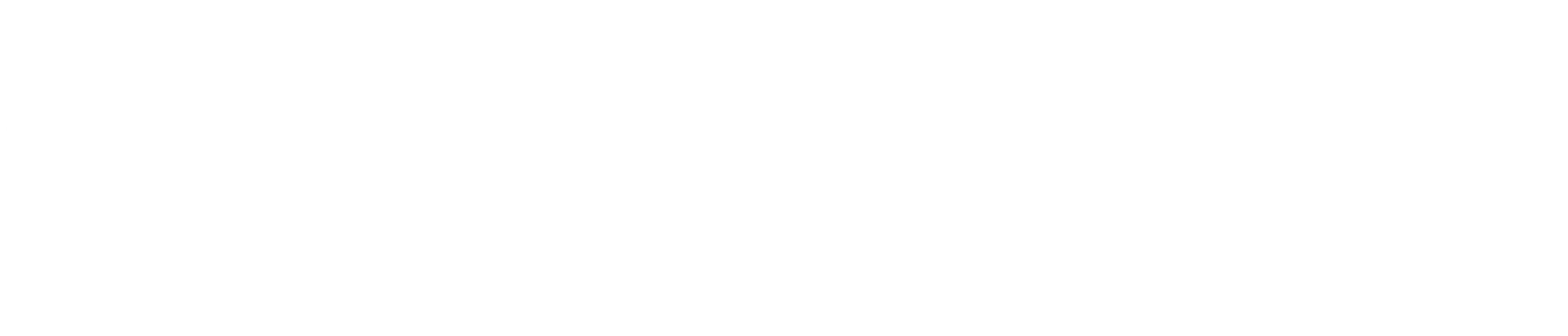 partner-10-65f90f3519911