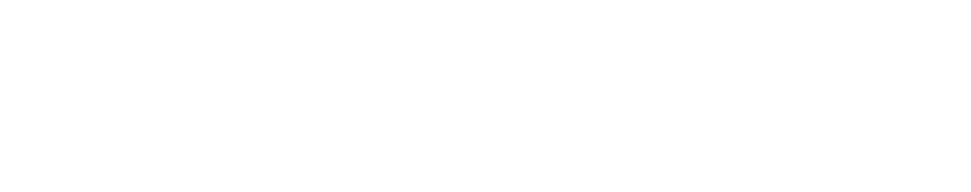 partner-9-65f90f351af88